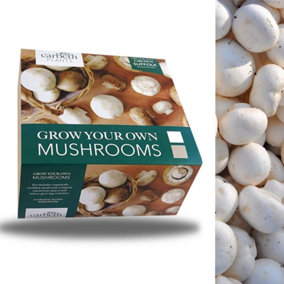Carbeth Plants Mushroom Growing Kit - Grow Your Own White Button Suffolk Mushrooms - Perfect for Beginners