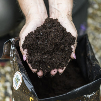 Carbon Gold Biochar All Purpose Peat-Free Compost - 100% Peat-Free, UK ...