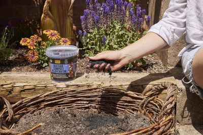Carbon Gold Biochar Compost Rejuvnator 1L - 6