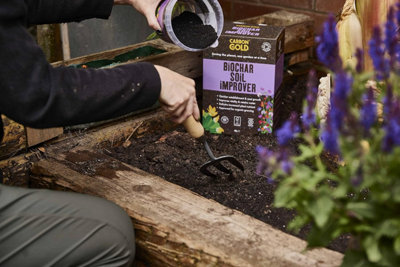 Carbon Gold Biochar Soil Improver 4L - 4