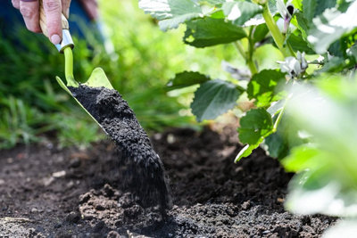 Carbon Gold Biochar Soil Improver 4L - 7