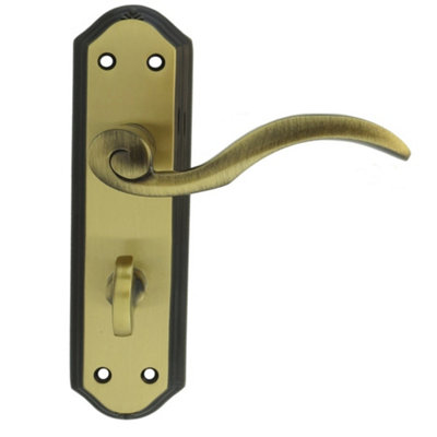 Carlisle Brass Florentine Bronze Wentworth Lever on WC Backplate