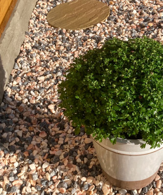 CARNIVAL PINK MARBLE GRAVEL CHIPPINGS 20MM - 25 BAGS (500KG)