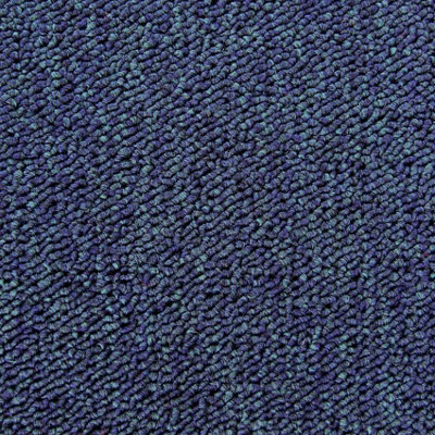 Carpet Tiles Heavy Duty 20pcs 5SQM in Blue Commercial Office Home Shop Retail Flooring