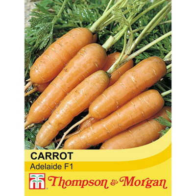 Carrot Adelaide F1 Hybrid 1 Seed Packet (400 Seeds)