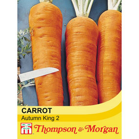 Carrot Autumn King 2 1 Seed Packet (1100 Seeds)