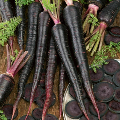 Carrot Black Nebula 1 Seed Packet