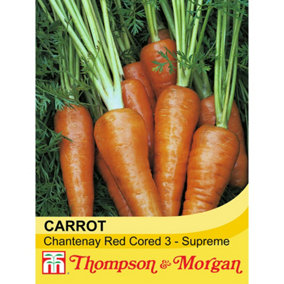 Carrot Chantenay Red Cored 3 Supreme 1 Seed Packet (1500 Seeds)
