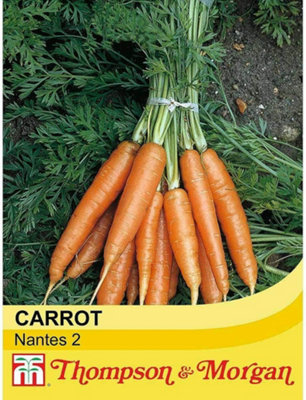 Carrot Early Nantes 2 (Nantes 2) 1 Packet (1000 Seeds)