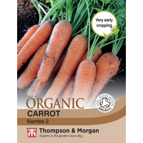 Carrot Early Nantes 5 1 Seed Packet (1000 Seeds)