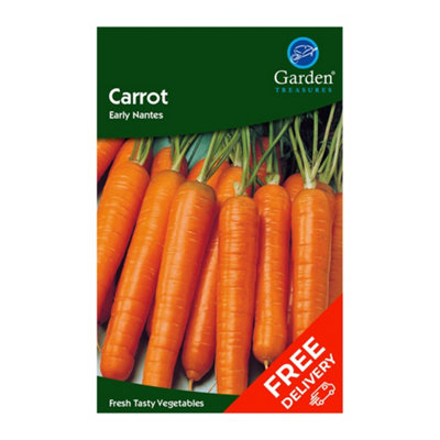 Carrot Early Nantes (Daucus carota)