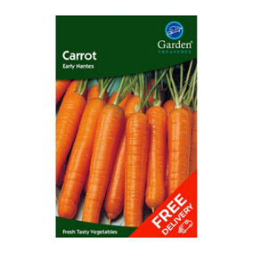 Carrot Early Nantes (Daucus carota)