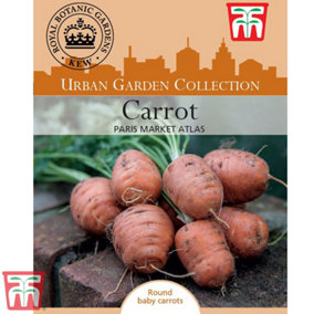 Carrot Paris Market Atlas 1 Seed Packet (100 Seeds)