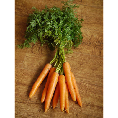 Carrot Seeds Nantes 3 (1000 Seeds) UK Garden Vegetable Seeds  Non-GMO Indoor Outdoor Growing Pack