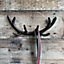 Cast Iron Antler Decorative Wall Hook Rack