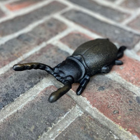 Cast Iron Insect Bug Boot Jack