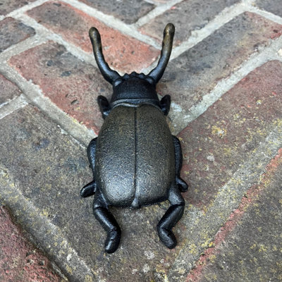 Cast Iron Insect Bug Boot Jack