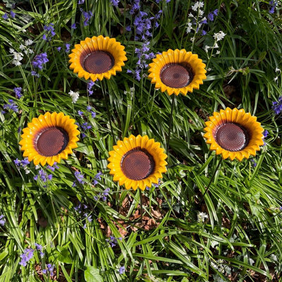 Cast Iron Wild Bird Sunflower Dish Bird Feeder (Set of 5)