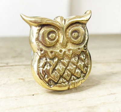 Castelion BRASS OWL CABINT KNOB