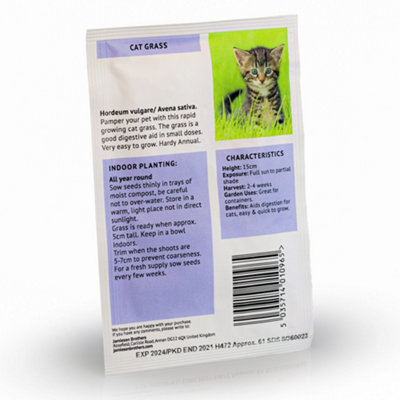 Cat Grass Seeds (Approx. 60 seeds) - By Jamieson Brothers