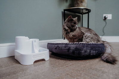 Cat Mate 3 level 2 Litre Pet Water Fountain - White - 335