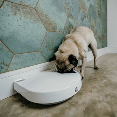 Cat Mate Five-meal Automatic Pet Feeder with Digital Timer - White - C500 - 9