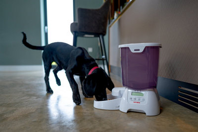 Multi cat automatic clearance feeder