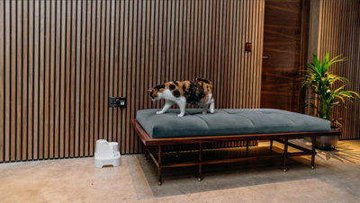 Cat Mate White Three level Pet Fountain (335) - 9