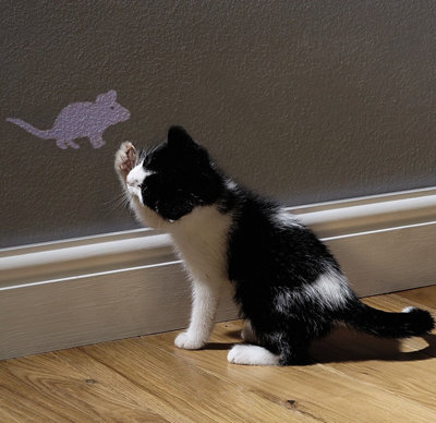 Cat or Dog Tease Torch - Battery Powered Mouse Reflection Interactive LED Light Pet Chaser Toy - Measures 8.2 x 1.2 x 1.2cm