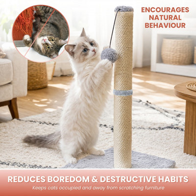 Cat Scratching Post Large Cat Scratching Board Stretch, Stable and ...