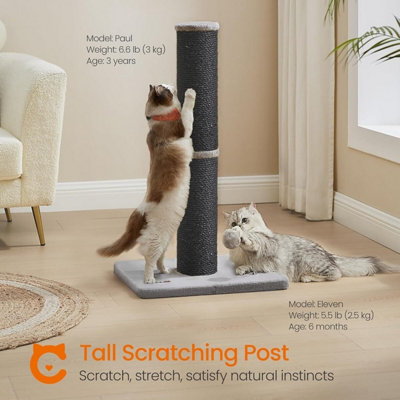 Cat Scratching Post with Tall Sisal Pole and Spring Pompom Toy ...