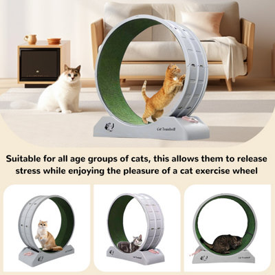 Cat toys for weight loss best sale