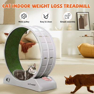 Cat weight loss toys best sale