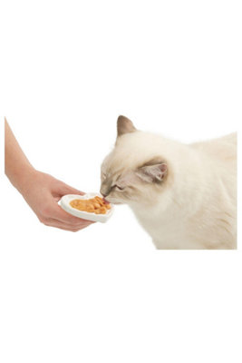 Catit 2.0 Creamy Heart Ceramic Cat Feeding Dish