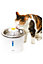 Catit 2.0 Flower Cat Drinking Fountain 3L with Stainless Steel Top