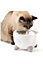 Catit Pixi Smart Cat 2L Drinking Fountain with UV-C Light and App Support