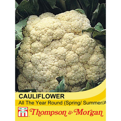 Cauliflower All The Year Round 1 Seed Packet (200 Seeds)