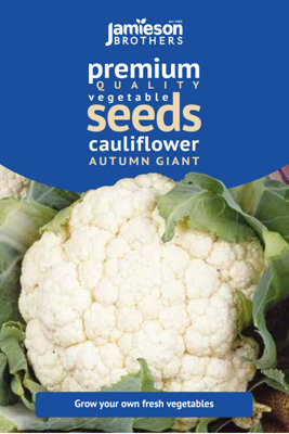 Cauliflower Autumn Giant Vegetable Seeds (Approx. 90 seeds) by Jamieson Brothers
