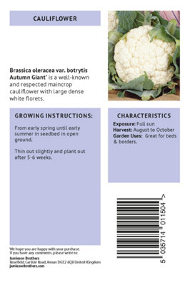 Cauliflower Autumn Giant Vegetable Seeds (Approx. 90 seeds) by Jamieson Brothers
