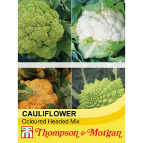 Cauliflower Coloured Headed Mix 1 Seed Packet (25 Seeds)
