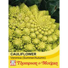 Cauliflower (Romanesco) Veronica 1 Seed Packet (20 Seeds)