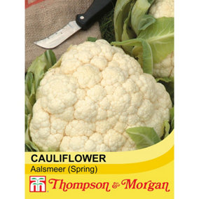 Cauliflower Winter Aalsmeer 1 Seed Packet (50 Seeds)