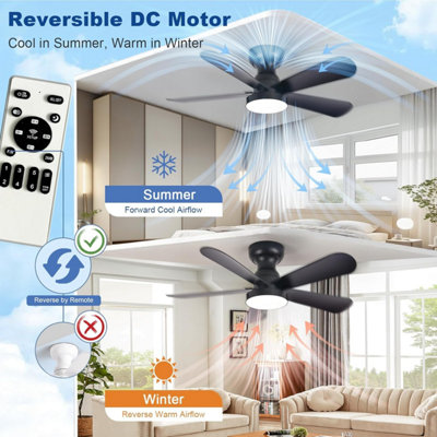 Ceiling Fan with Lights, Flush Mount Fan with Remote, Low Profile ...