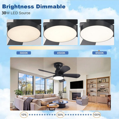 Ceiling Fan with Lights, Flush Mount Fan with Remote, Low Profile ...
