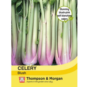 Celery Self-Blanching Blush 1 Seed Packet (200 Seeds)