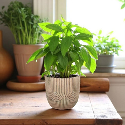 Cement Art Deco-style Indoor/Outdoor Plant Pot - H14 x W15cm