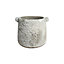 Cement Plant Pot With a White Wash Rustic Finish. H13cn