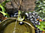 Ceramic Frog Animal Fountain Solar Water Feature