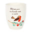 Ceramic Indoor Plant Pot with a Robin Design and Text. Lovely Gift Idea. (Dia)11 cm