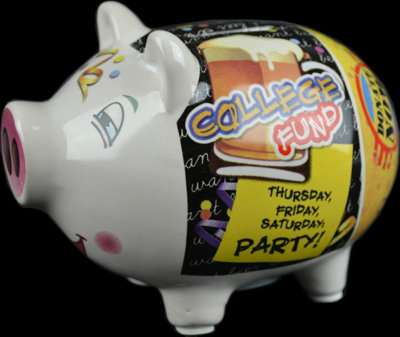 Ceramic Piggy Bank Money Box Secure Safe Savings Cash Coins Novelty College Fund